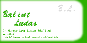 balint ludas business card